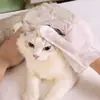 Guantes Desechables para Mascotas Baño de Gatos Toallitas Húmedas para Mascotas Venta al por Mayor Limpieza en Seco para Perros Guantes de Limpieza Suministros para Limpiar Traseros