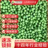 Suministros del Fabricante Guisantes Verdes Congelados Rápidamente para Catering, Guisantes Congelados Rápidamente para Catering, Guisantes Verdes Dulces Congelados Rápidamente