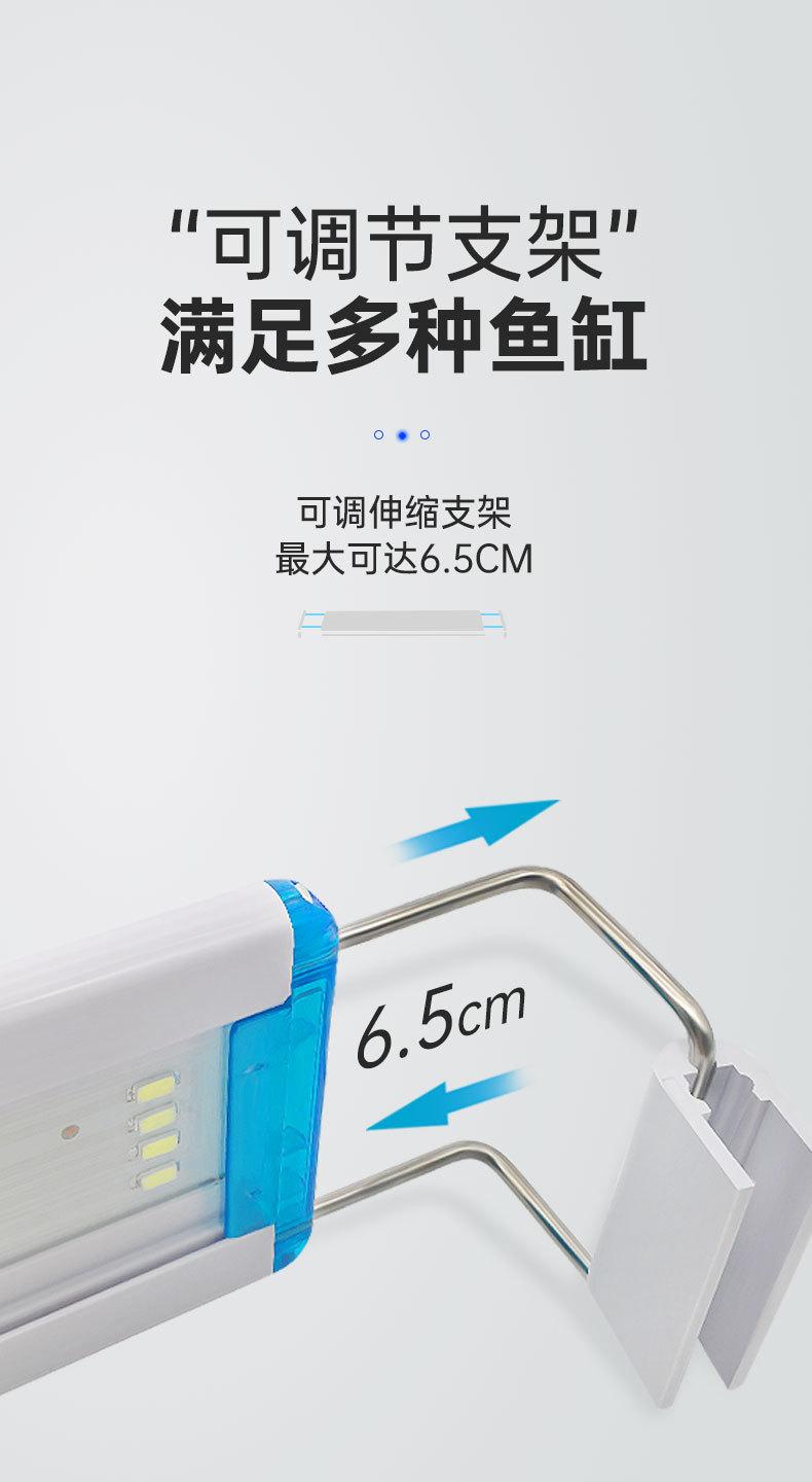LEDdeng_05.jpg