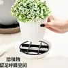 Base para vaso de flores para prevenir o apodrecimento das raízes, suporte elevado para vaso, suporte para vaso de flores respirável e resistente à água, ventilado e respirável