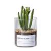 Jarrón de Vidrio Transparente Estilo Nórdico Ins Simple, Contenedor Hidropónico para Suculentas, Maceta Cilíndrica Recta, Botella de Jardinería para Cactus