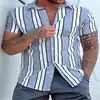 Entrega Directa de Fábrica Camisa Casual para Hombre Manga Corta Serie de Estampado de Rayas Personalizadas 3D Ajustada Manga Corta Moda Transpirable