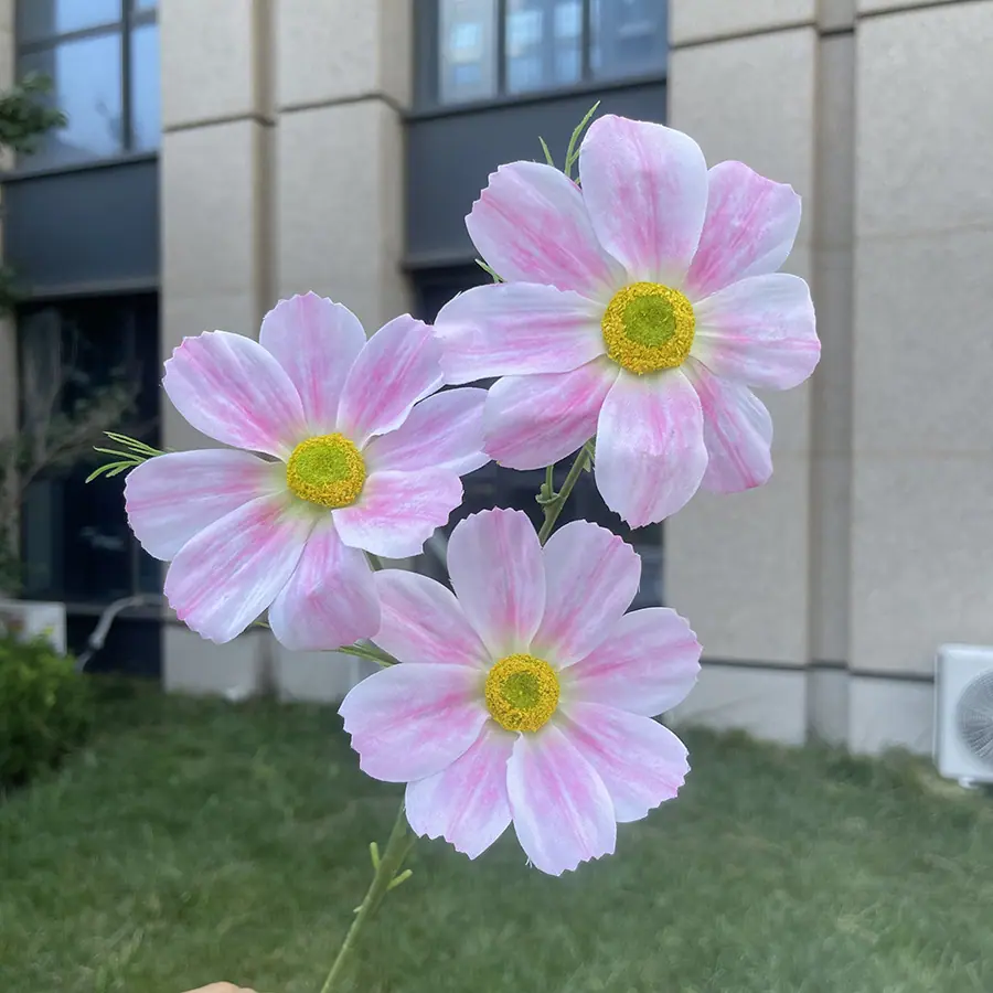 3头彩印格桑花-xhmgyx-浅粉.JPG