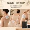Sanqi Dan Shen Ungüento Negro Viejo - Parche Herbal para Calor Externo para Cuello, Hombros, Cintura, Piernas y Articulaciones de Rodilla
