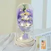 Presente de Dia dos Namorados Lanterna Caixa de Presente Flor Eterna Buquê de Flores Secas Flor de Sabão Rosa Flor Eterna Flor Artificial Ornamento de Aniversário