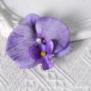 Pétalas de cabeça de flor phalaenopsis branca acessórios de flor artificial adorno de cabeça de flor grampo de cabelo diy feito à mão decoração de casamento