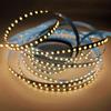 Tira de Luces LED Flexible 2835 24V Tira de Luces LED KTV Club Centro de Bienestar Luz Ambiental Baja Temperatura Sin Calentamiento Tira de Luces Flexible