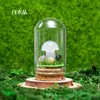 Venta al por mayor de fábrica Piedra Bruta de Cristal Natural Muestra de Mineral para Niños Divulgación Científica Enseñanza Piedra Semipreciosa Adorno de Escritorio para el Hogar
