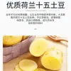 Moinho de Vento Holandês Amido de Batata Importado 2,5kg Embalagem Original a Granel para Espessar Bolinhos de Cristal e Macarrão