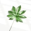 Accesorios de fotografía con hojas estilo Ins, adornos para decoración de uñas, fondo de tela para fotografía de Taobao