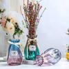 Vaso de vidro transparente simples, arranjo de flores frescas de diamante de duas cores, ornamentos artesanais de cores vintage