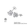 Brincos de aço inoxidável 316L titânio aço seis garras micro incrustadas zircão branco brincos brincos temperamento Amazon punção local