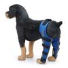 Protección impermeable para patas de perro, antidesgaste, protección para codos, protección para articulaciones lesionadas, funda protectora para patas traseras de mascotas, equipo de protección para perros.