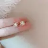 Pendientes de Plata de Alto Nivel con Diseño de Trébol de Cuatro Hojas y Piedra Brillante para Mujer Joyería de Plata 2025 Nuevo Diseño de Nicho Pendientes de Lujo Accesible Pendientes