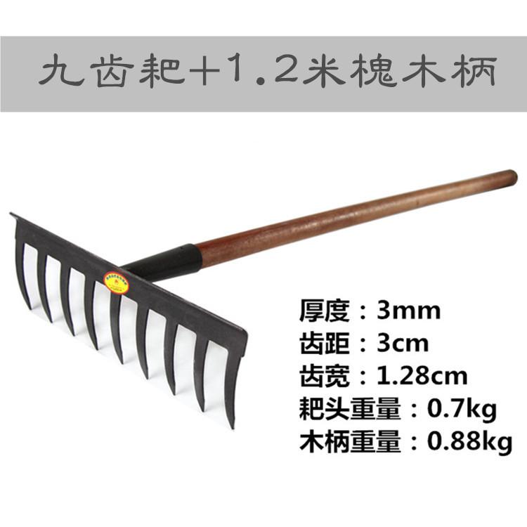 IMG_2016王_副本_副本3333