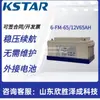 Batería Costar 12V65Ah Costar 6-Fm-65 Pantalla DC Ups Eps