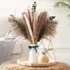 Bouquets de Flores Secas Más Vendidos, Juncos Pequeños, Hierba Cymbidium, Flores de Polvo, Decoración del Hogar para el Día del Maestro, Fábrica de Yunnan