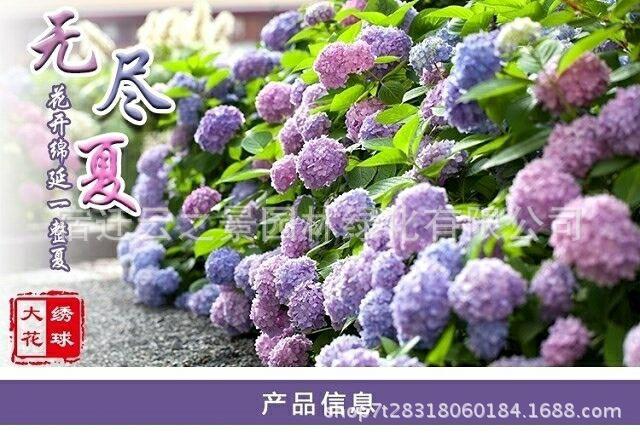 鍏粰缁ｇ悆鑺辫缁?
