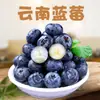 Planalto de Yunnan L25 Mirtilo Floral Atacado Mirtilos Frescos Frutas Mirtilo Floral Sazonais Frutas Frescas