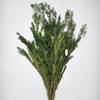 Flores Preservadas Eternas: Flores Secas Douradas de Mil Camadas, Enviado Diretamente da Fábrica de Yunnan, Adequado para Casamentos e Natal
