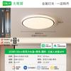 Lámpara de Techo LED para Sala de Estar Protección Ocular Estilo Italiano Nuevo Lujo Accesible Rectangular Atmosférica Lámpara de Pasillo Simple Espectro Completo 473L