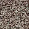 Flores Hechas a Mano del Jardín de Infancia Acorn, Flores Naturales Reales, Piñas, Frutos de Mil Granos, Flores Secas Decorativas, Materiales para Manualidades Navideñas