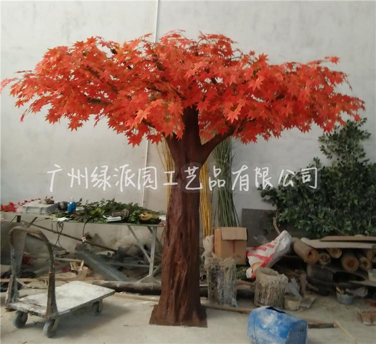 枫树17.jpg