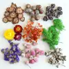 Flores Secas Material de Flor Real Pacote Planta de Frutas Espécime Vela de Aromaterapia Material de Flor DIY Artesanal Bolota Gimnos Rosa