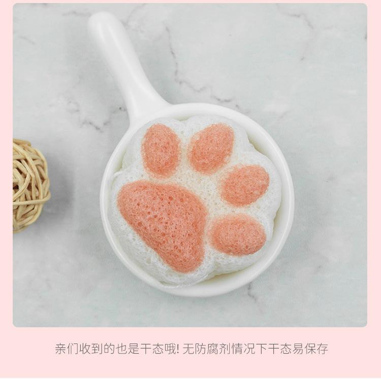 猫爪详情7