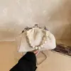 Bolsa de Palha Trançada Fashion Versátil Elegante Bolsa Nuvem com Contas Moda Nicho Bolsa com Fecho Bolsa Transversal Trançada