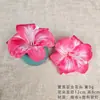 Flor de lirio de día simulada, cabeza de lirio, accesorios de tocado fresco DIY, pinza de garra, adornos florales para fotografía del hogar