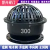 Válvula de Fundo com Flange H42X-6 Válvula de Retenção Válvula de Verificação Ferro Fundido Válvula de Fundo para Bomba de Água Dn50 80 100 150 200