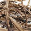 Dragón de Tierra 1000g Huamei Medicina Herbal China Venta al por Mayor Disponible en Stock con Suelo Semicerrado Guangdilong Gran Cantidad Tratamiento Preferencial