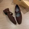 Zapatos estilo Mary Jane bajos coreanos para principios de primavera de 2026, modelo nuevo, adecuados para faldas, con una sola hebilla, tacón bajo, tacón grueso, zapatos de tacón alto