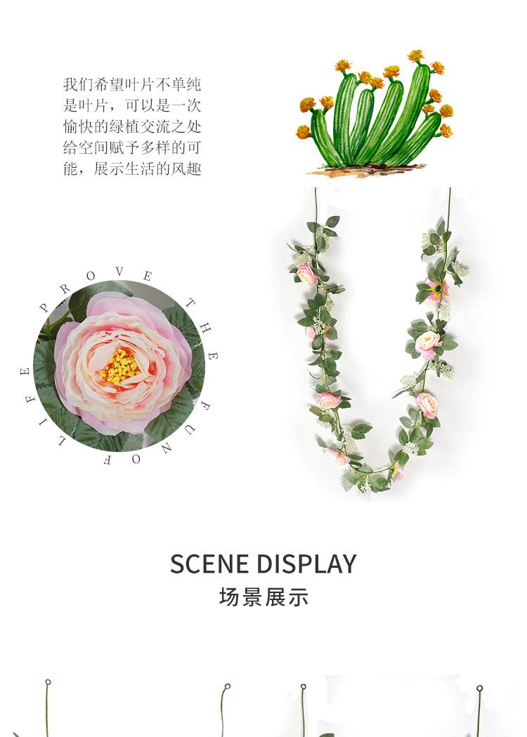 玫瑰花藤_05.jpg