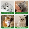 Spray de hierba gatera para gatos, un juguete divertido para entretenerlos, un estimulante para atraer gatitos y un aceite a base de alcohol