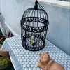 Jaula de pájaros decorativa ahuecada para patio, accesorios rústicos para bodas, adornos de jardín, jaula de pájaros, jaula de pájaros de hierro forjado, balcón de hierro para exteriores