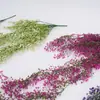 Decoración para Colgar en la Pared de Sauce Dorado de Campana Simulada, Enredaderas Artificiales para Interiores, Flores Artificiales, Plantas Colgantes de Plástico para Pared de Sala de Estar, Planta Verde