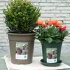Maceta Global Gallon Segunda Generación Maceta Engrosada Control de Raíces Maceta Rosa Verde Flor de Rosa Maceta de Jardinería Redonda de Resina Maceta Global
