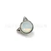 Uña de Labio de Titanio F136 Gato Diamante Checo Uña de Oreja Uña de Hueso de la Oreja Piercing de Aleación de Titanio G23 Joyería Uña de Oreja de Gato Uña Coclear