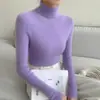 Suéter de capa base de cuello alto otoño e invierno nuevo estilo top de cuello de pelo jersey de manga larga tejido elegante ajuste ceñido tejido de punto blanco