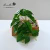 Flor Artificial planta verde cesta colgante hojas de rábano verde pequeño bonsái flor artificial decoración creativa de interior planta artificial en maceta generación de cabello