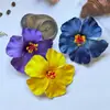Grampo de Cabelo Flor Hasang de Verão Dopamina Feminino Flor Lateral Atmosfera de Férias na Praia Acessórios de Cabelo Franja Presilha Bico de Pato