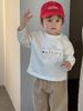 Ropa de Otoño para Niños 2025 Ropa de Bebé Estilo Coreano Ropa para Niños Camiseta de Manga Larga con Letras de Otoño para Niños Traje Casual de Pantalones