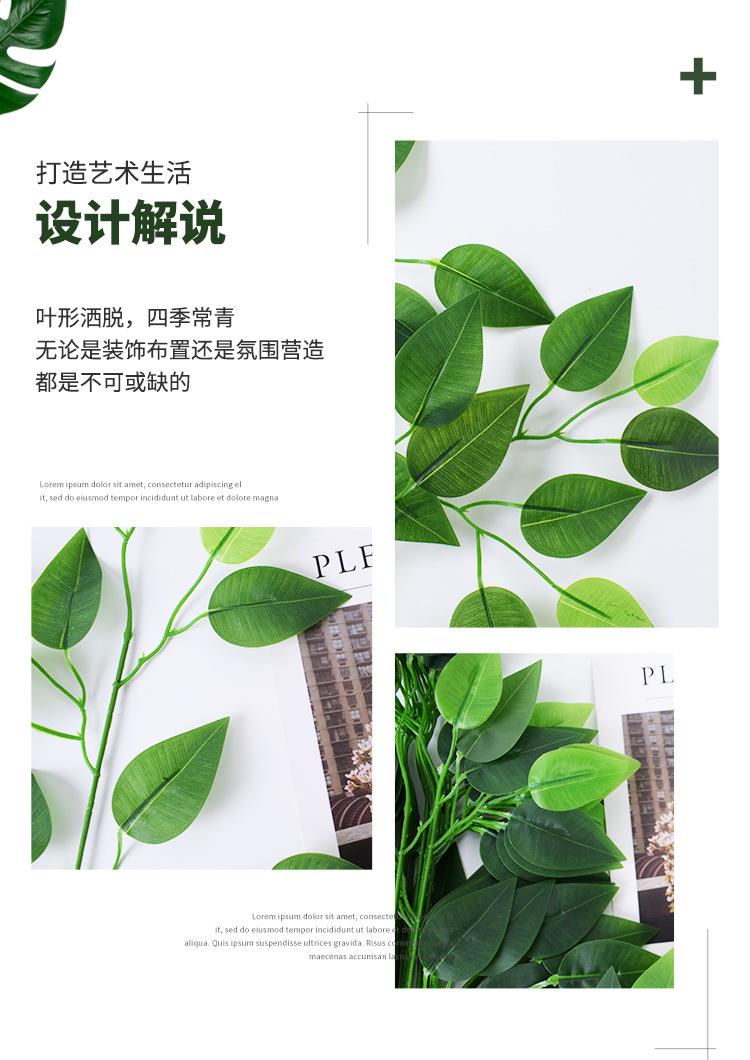 详情仿真绿植_03.jpg