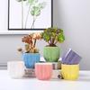 Vaso de Flor Carnuda Cerâmico Macaron Planta Carnuda Vaso Pequeno de Flor Vaso Fresco de Cerâmica com Furos Criativo Queimado de Legumes Vaso de Flor