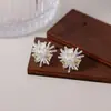 Pendientes de Cubo de Azúcar de Fuegos Artificiales Colección Primavera 2026 para Mujer, Lujo Ligero, Elegantes, Sencillos, Modernos, Versátiles, Accesorios para Orejas de Diseño Nicho