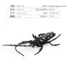 Simulación sólida Araña Naruto ciempiés modelo de insecto juguete para niños mariposa abeja animal decoración bandeja de arena