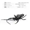 Simulación Transfronteriza Modelo de Araña Real Unicornio Insecto Juguetes para Niños Mariposa Abeja Adornos de Animales