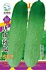 Fabricantes de origen venta al por mayor semillas de hortalizas, primavera, verano y otoño, cuatro estaciones, frutas, frutas, semillas, semillas, colza, semillas, semillas